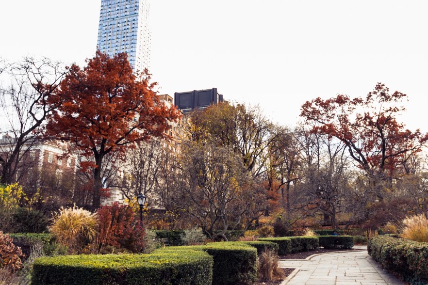 ELOPEMENT-35-2950079744-O