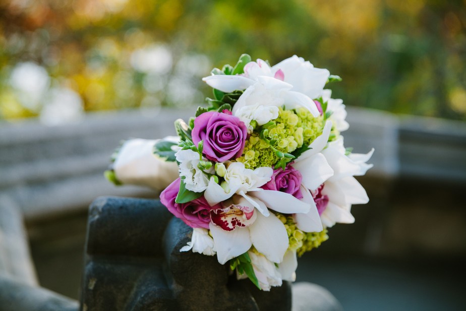 centralpark_ladiespavilion_wedding_EJ-127