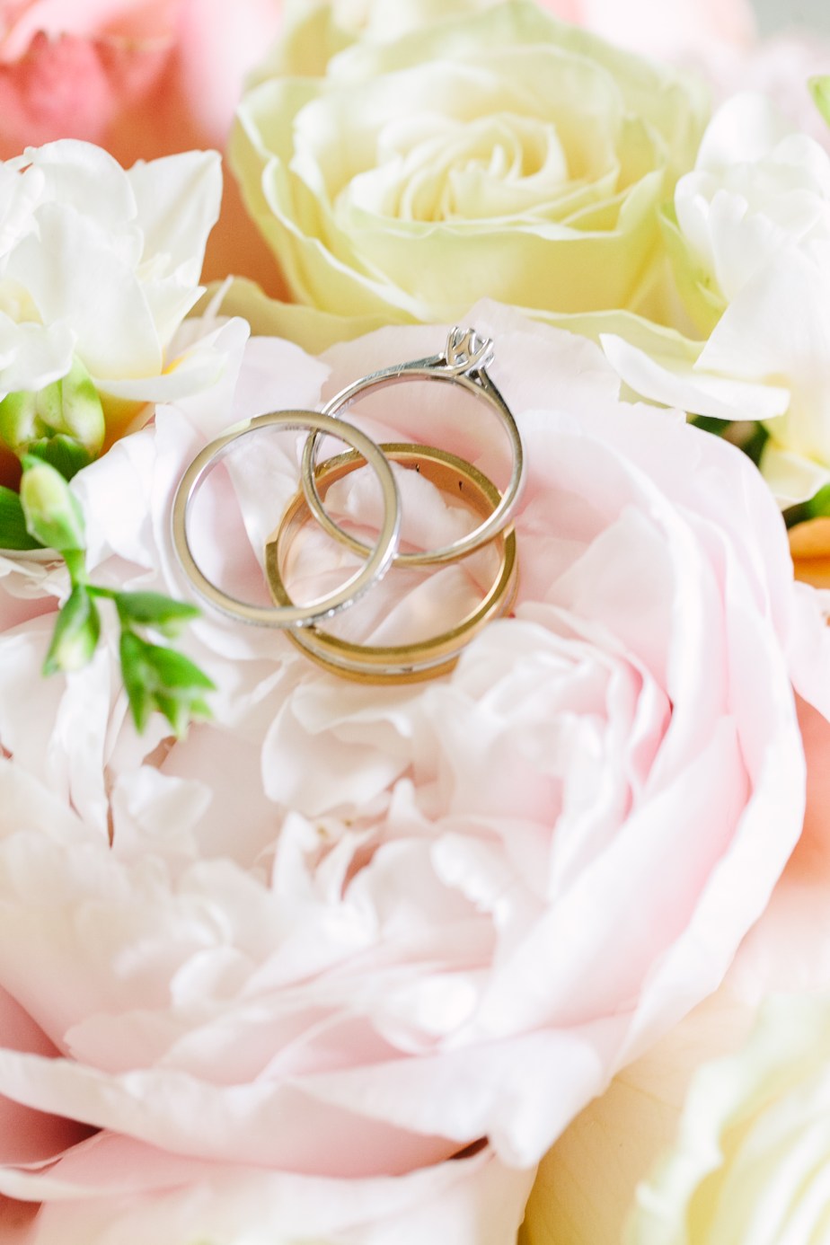 wagners_cove_wedding_AE-14